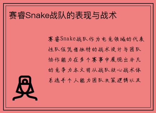 赛睿Snake战队的表现与战术