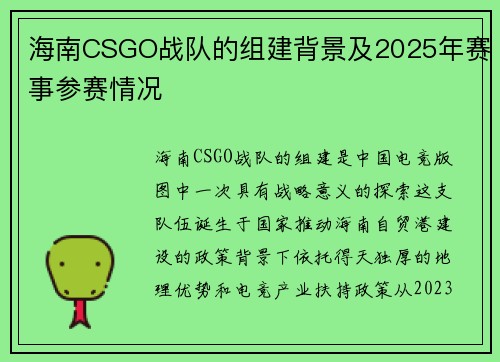 海南CSGO战队的组建背景及2025年赛事参赛情况